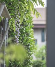 Mint Gardens Bild 10