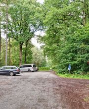 FriedWald Bremer Schweiz Bild 10
