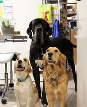 Cabinet Vétérinaire des Sources SA Bild 8