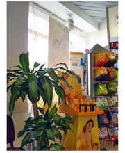 Mohren - Apotheke Inh. Daniela Tillack Bild 6