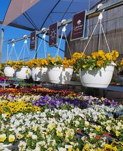 Luzerner Garten AG Bild 5