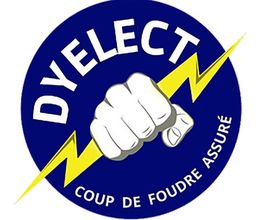 Dyelect image 1
