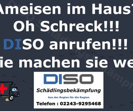 DISO Schädlingsbekämpfung Bild 3