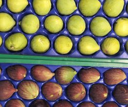 Hortifruta imagen 1