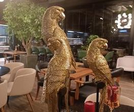 Fantasia Grill & Lounge Bild 4