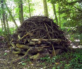 Les Artisans de L'Arbre Sarl Bild 7