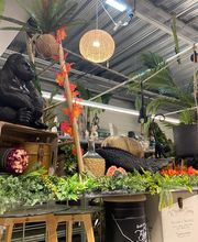 Centrakor St Yrieix La Perche image 4