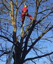 Adrian Kübler Gartengestaltung Bild 2