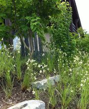 Vogel Gartenbau AG Bild 6