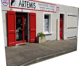 Artémis Immobilier Conseil image 1