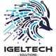 IgelTech Solutions Logo
