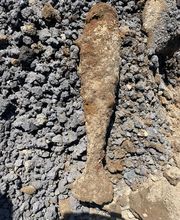 Kampfmittelbergung Bartholomäus Bild 4