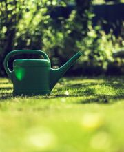 Ralf Andresen Garten- und Landschaftsbau GmbH Bild 1