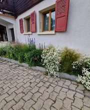 Arbre & Co Sàrl Bild 13