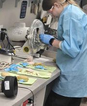 Lake Charles Dental Assistant School image 1