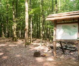 Der Waldplan hilft bei der Orientierung im FriedWald Saarbrücken.