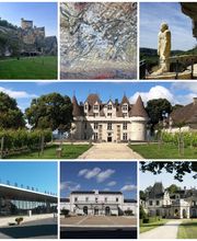 Transport Vtc Promis Patrick image 3