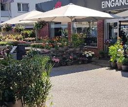 Floria Blumen Bild 2