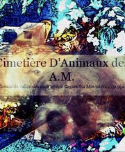 Cimetière D'Animaux image 1