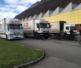 WILD TRANSPORTE AG DIETIKON Bild 8