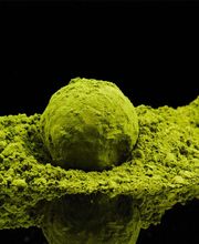 Guillaume Vincent Chocolatier image 4