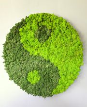 Franzen Moos Wanddesign Bild 16