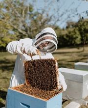 Les Vergers de Pialard image 4