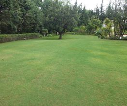 garden-sur-jardin-03.jpg