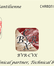 Informatique Cantilienne image 1
