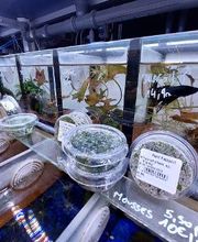 Tom&Co Hautmont - Louvroil image 5