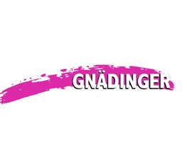 Gnädinger Malerwerkstatt AG Bild 1