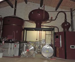 Les Ormeaux image 12