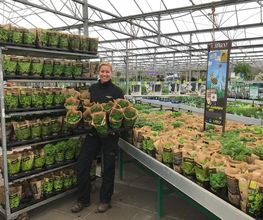 Plantencentrum Velden afbeelding 4
