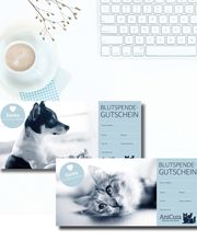 Werbeagentur concept your design Bild 17