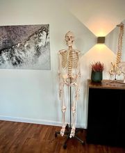 Nord-Osteopathie Bild 7