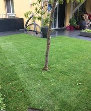 Stern Gartenbau AG Bild 9