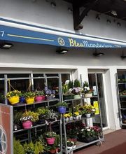 Bleu Mandarine image 11