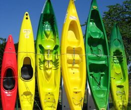 Alpha Bateaux image 1