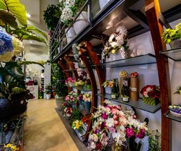 Gallery Professionale