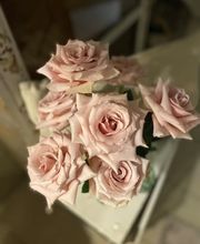 Blumen La Violetta Bild 6