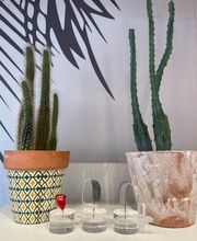 Audioprothésiste Krys Audition image 7