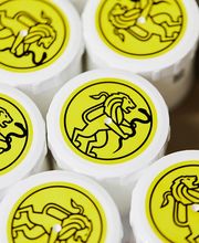 Apotheke zum Löwen Bild 14