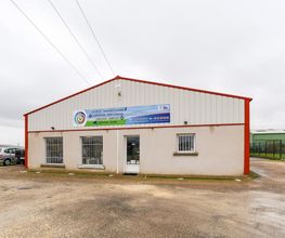 Lucas image 10