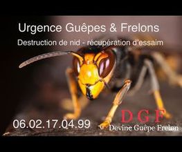 Abeille45.DGF image 11