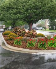Spring Gardens Landscaping & Horticultural Services, Inc. image 5