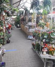 PflanzenWunder Bild 2