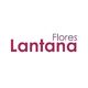 logo-flores.PNG
