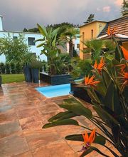 Bleuler Gärten Bild 5