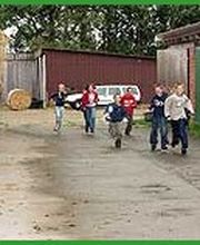 Ferienhof Bruns Bild 6