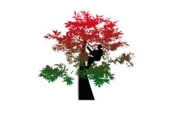 Timber'acro